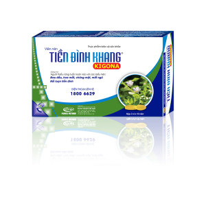 Tiền Đình Khang Kigona